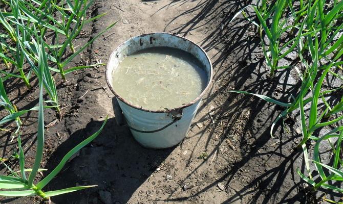 ปุ๋ยคอกเหลว