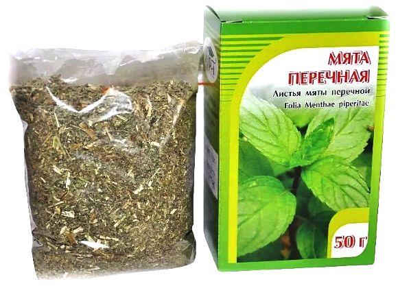 la menthe en médecine