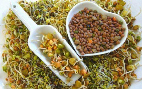 beaucoup de lentilles