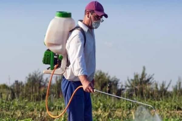 mesures de sécurité