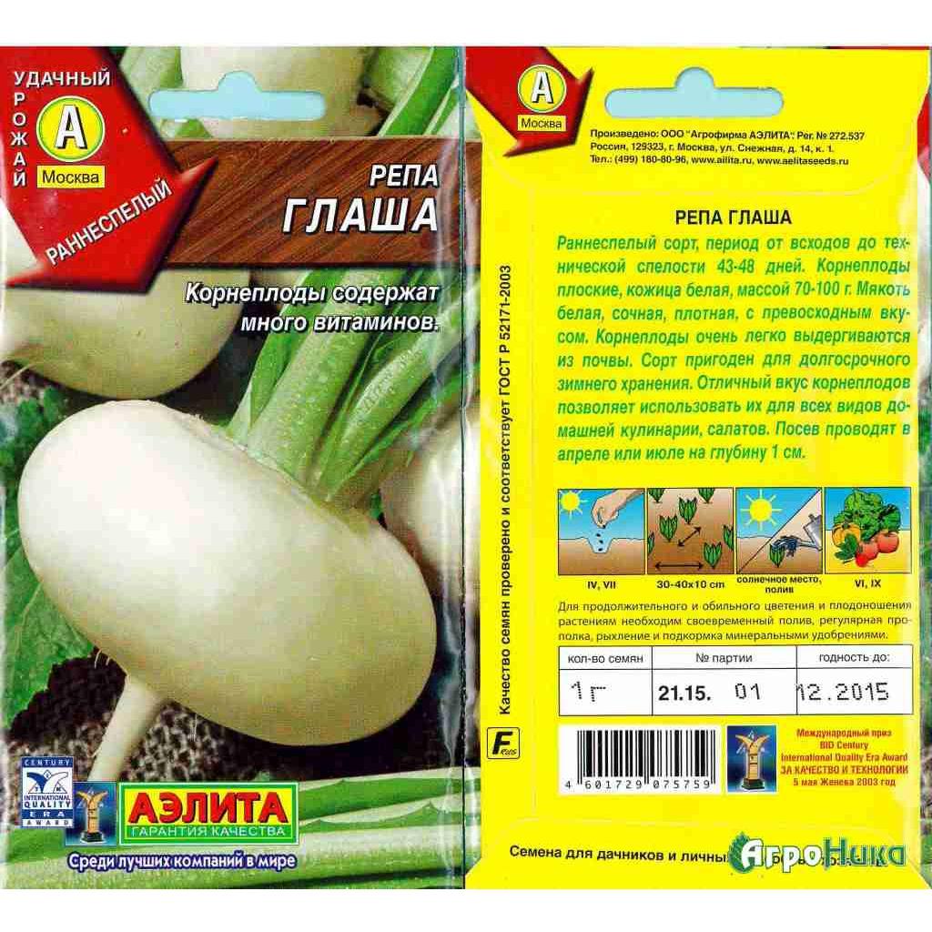 หัวผักกาดกลาชา