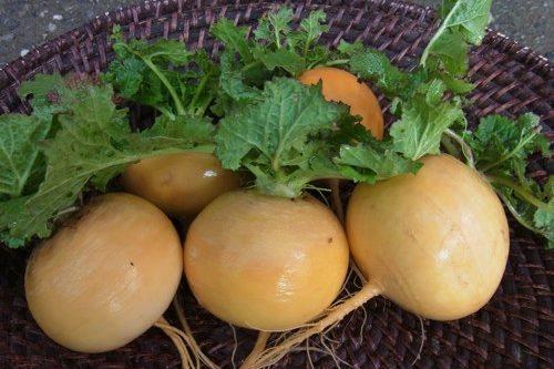 ลูกบอลทองคำ