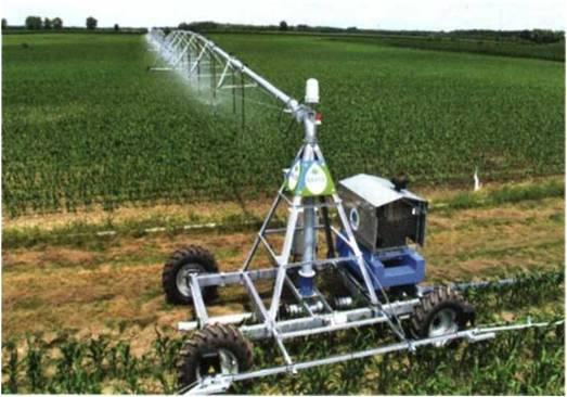 การรดน้ำข้าวโพด