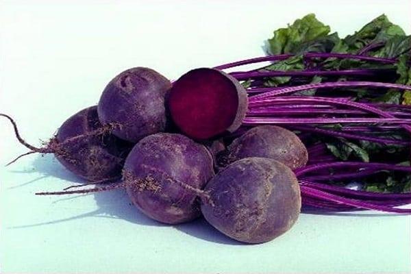 พันธุ์หัวบีท