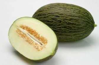 แตงโม เมเบิล เอฟ1