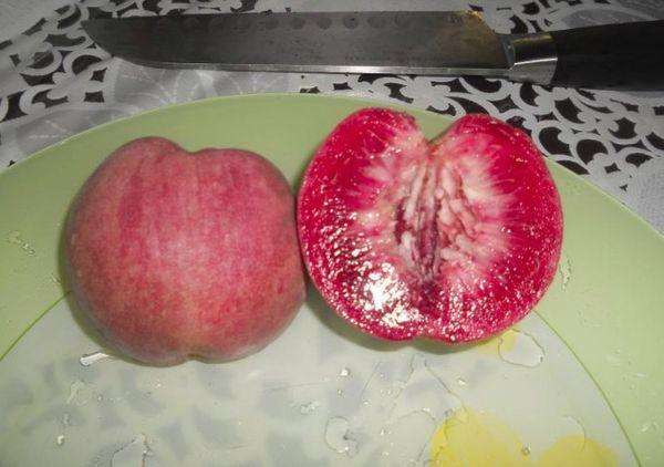 เนคทารีน เอริโทรคาร์ปา