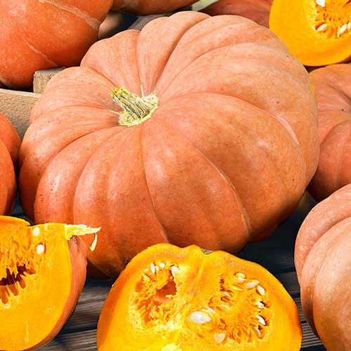 ทองคำแห่งปารีส