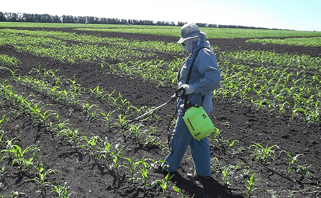 traitement des feuilles