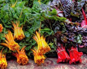 คำอธิบายพันธุ์สวิสชาร์ดและการปลูกสวิสชาร์ด