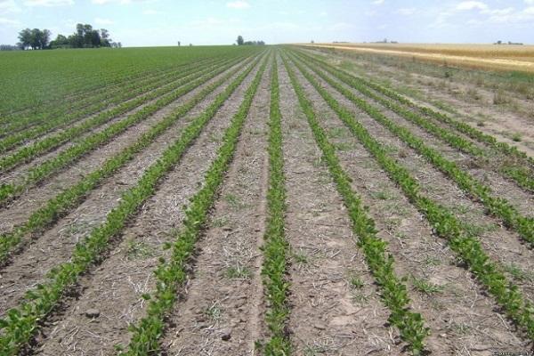 règle d'atterrissage