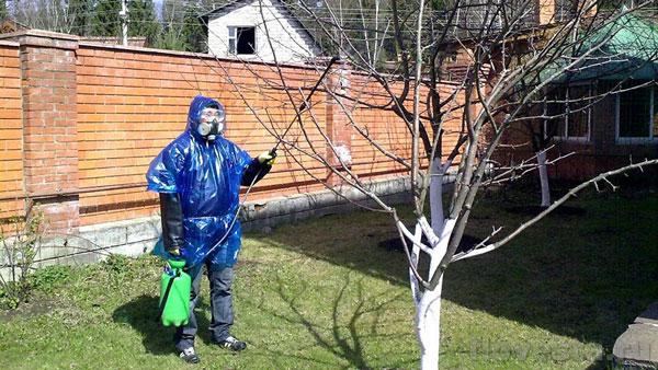 การแปรรูปต้นไม้