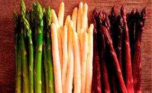 วิธีปลูกหน่อไม้ฝรั่งที่บ้าน: แนวทางการปลูกและการดูแล