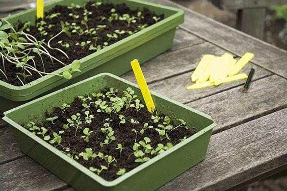 การเก็บ