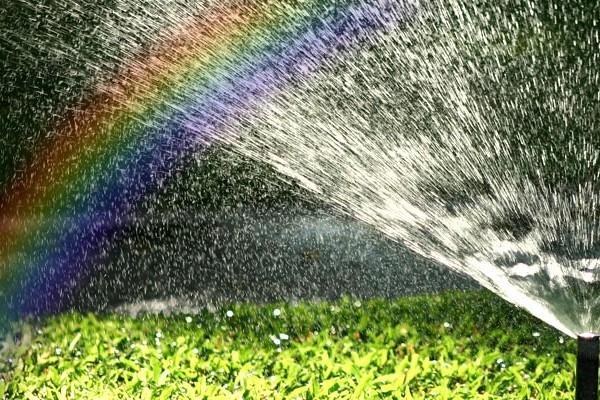 การรดน้ำ