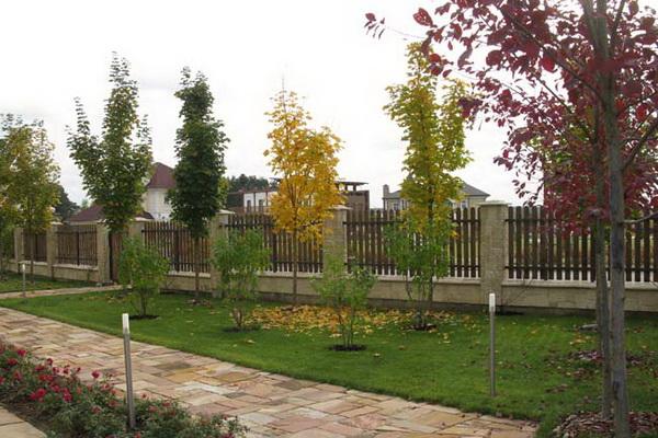 การดูแลสวน