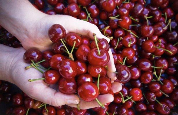เชอร์รี่: ประโยชน์และโทษ