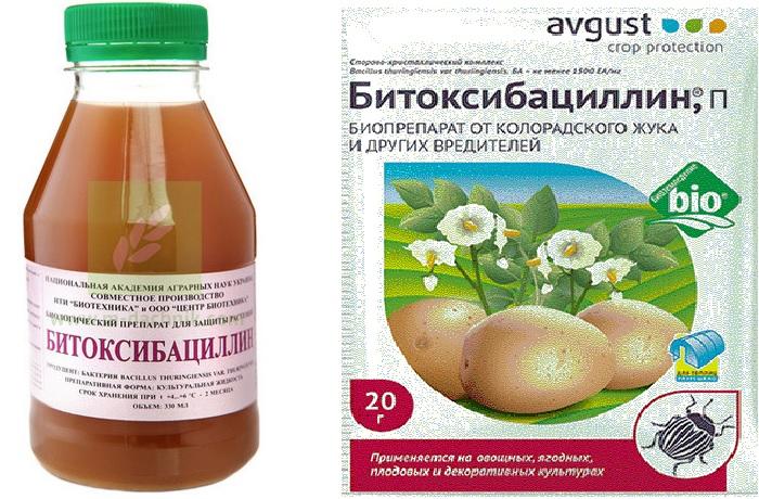 การป้องกันแมลง