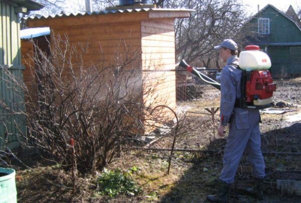 การแปรรูปพุ่มไม้