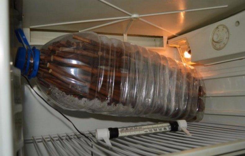 การเก็บรักษากิ่งพันธุ์