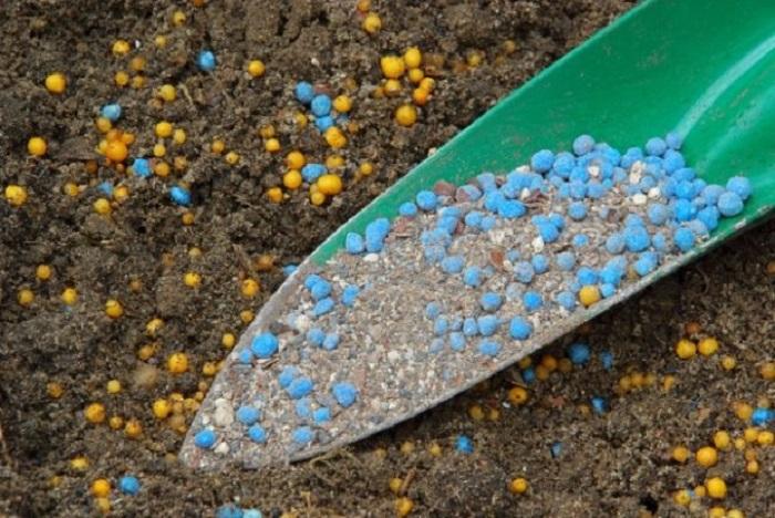 การใส่ปุ๋ยโพแทสเซียม