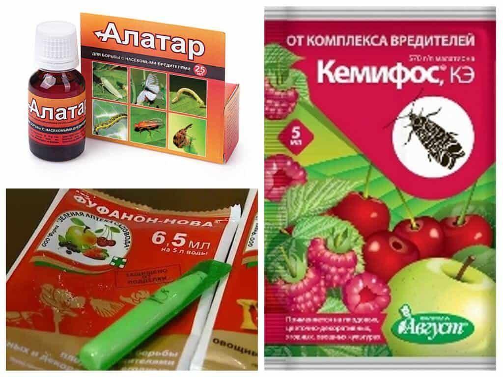 จากกลุ่มแมลงศัตรูพืช