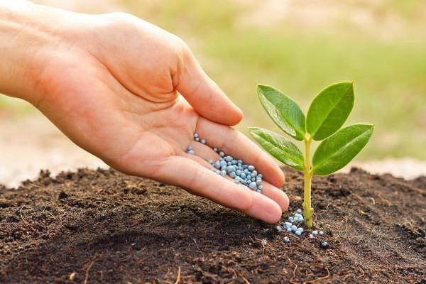 สารป้องกันเชื้อราสำหรับพืช