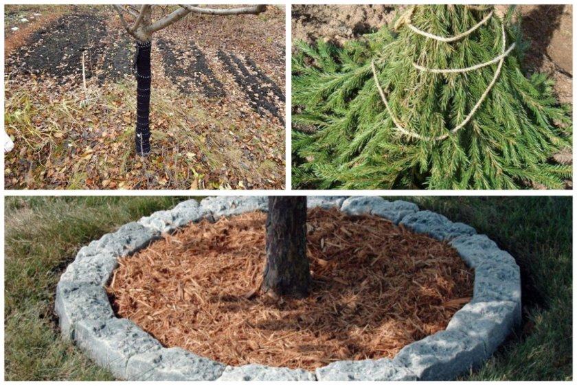 การเตรียมตัวสำหรับฤดูหนาว