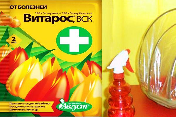 pour le traitement des raisins