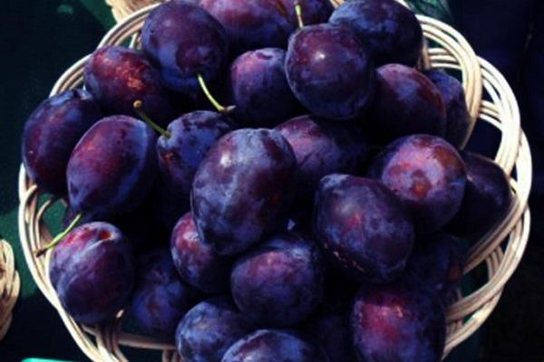 อัญญานชาวฮังการี