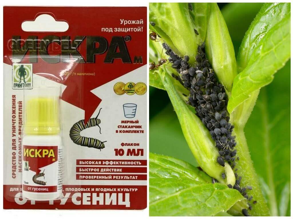 สารเคมี