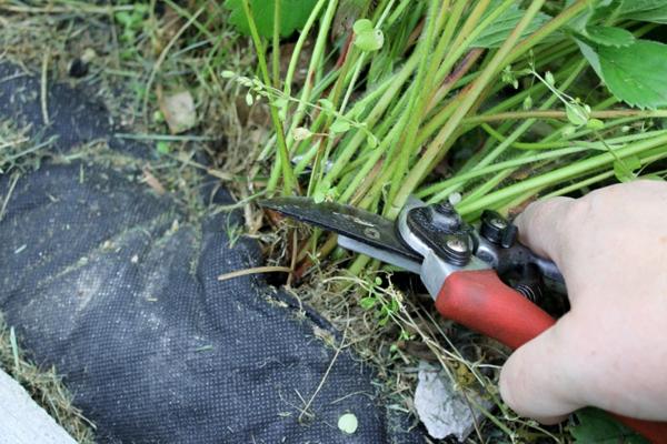 การเตรียมตัวสำหรับฤดูหนาว