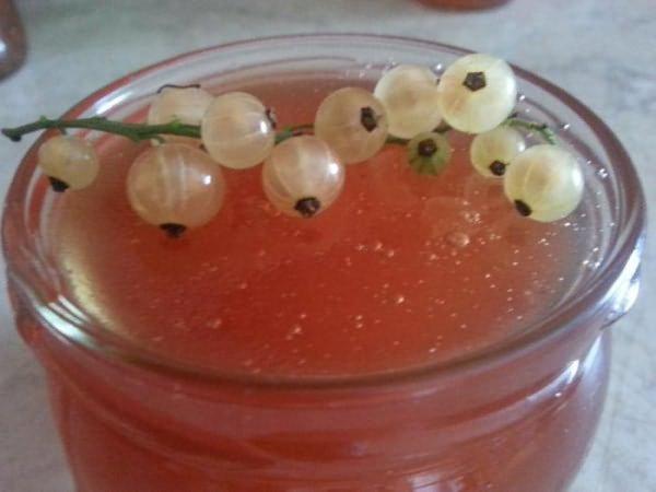 confiture de groseilles blanches