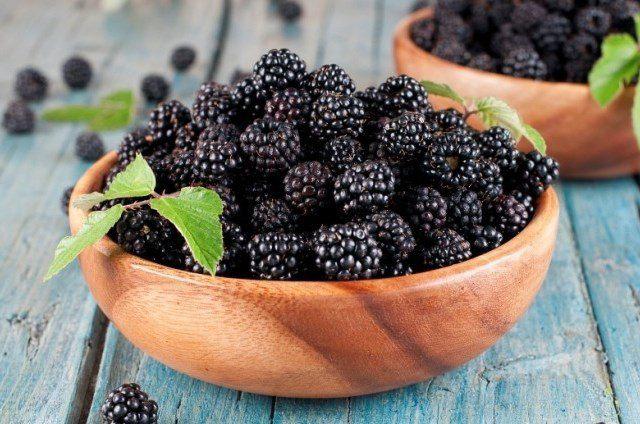 แบล็กเบอร์รี่ไร้หนาม