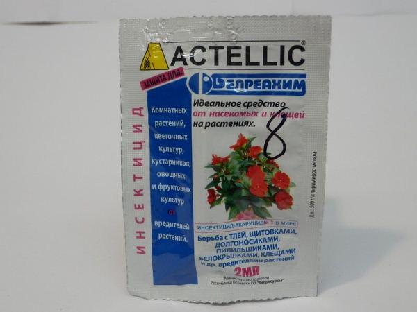 répulsif contre les tiques