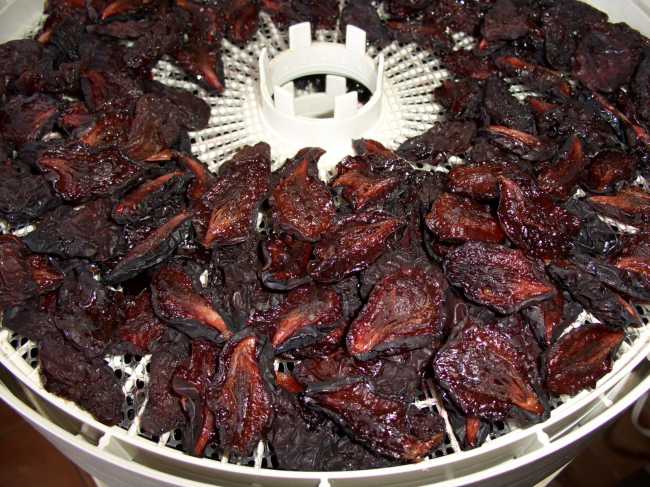 séchage au four électrique