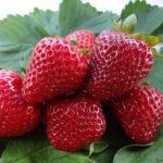 เพชรสตรอเบอร์รี่