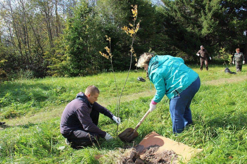 เตรียมพร้อมลงจอด