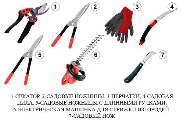 เครื่องมือ