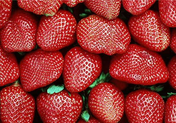 สตรอเบอร์รี่หวาน