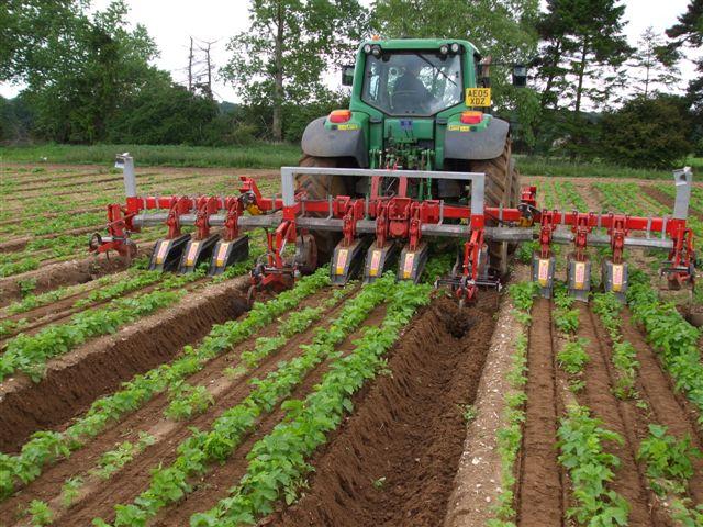 cultivateurs inter-rangs