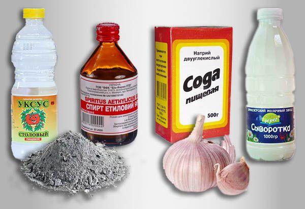 การควบคุมศัตรูพืช