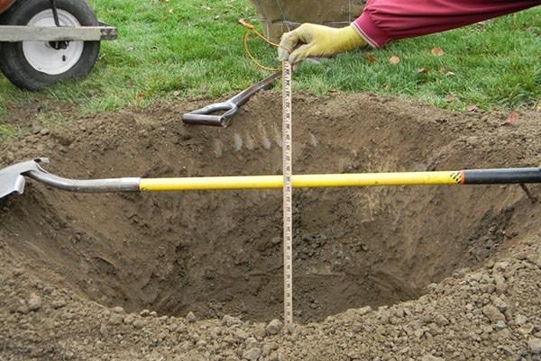 การเตรียมหลุมปลูก