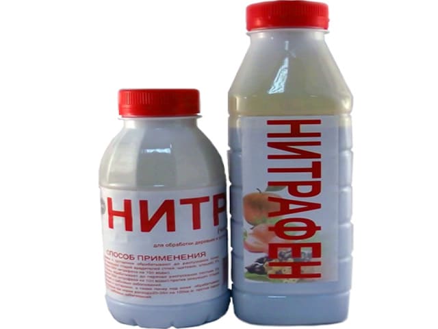 Traitement au nitrafène