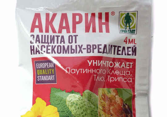 การป้องกันเพลี้ยอ่อน