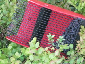 วิธีเก็บเกี่ยวลูกเกดอย่างรวดเร็วโดยใช้วิธีง่ายๆ