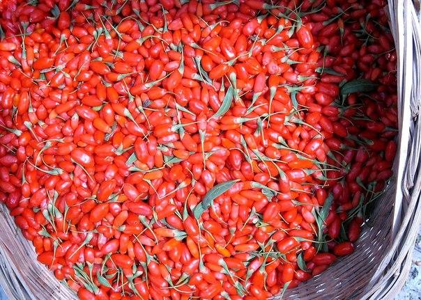 ลูกเบอร์รี่มากมาย