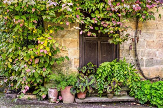 entretien des cultures