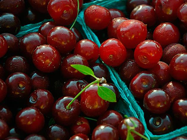 การเก็บเชอร์รี่