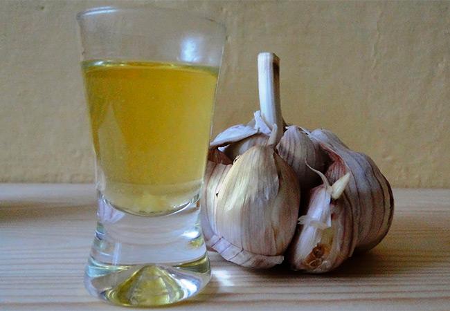 กระเทียมป้องกันเพลี้ยอ่อน