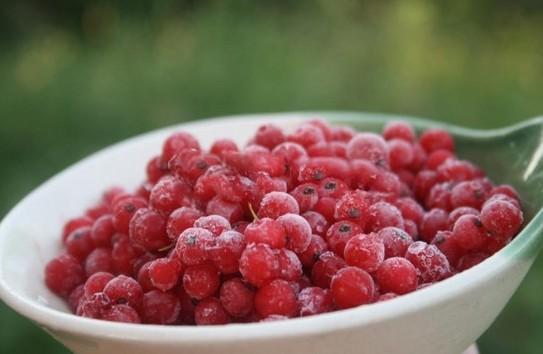 การแช่แข็งผลเบอร์รี่